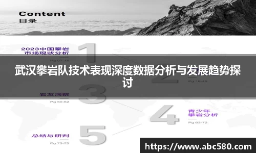 武汉攀岩队技术表现深度数据分析与发展趋势探讨