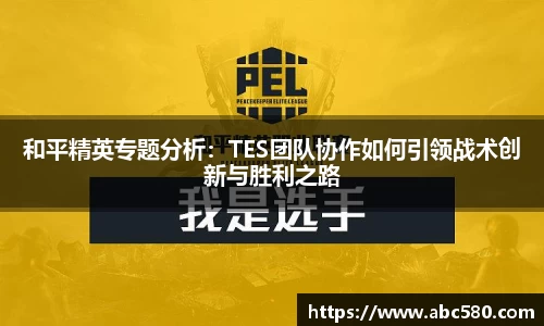 和平精英专题分析：TES团队协作如何引领战术创新与胜利之路