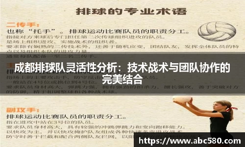 成都排球队灵活性分析：技术战术与团队协作的完美结合